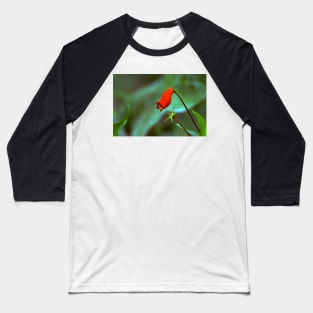 red flower in the garden Baseball T-Shirt